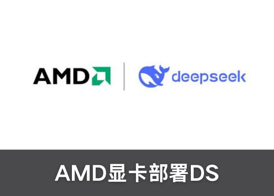 AMD 显卡可以本地玩 DeepSeek，一文看懂简单部署教程！